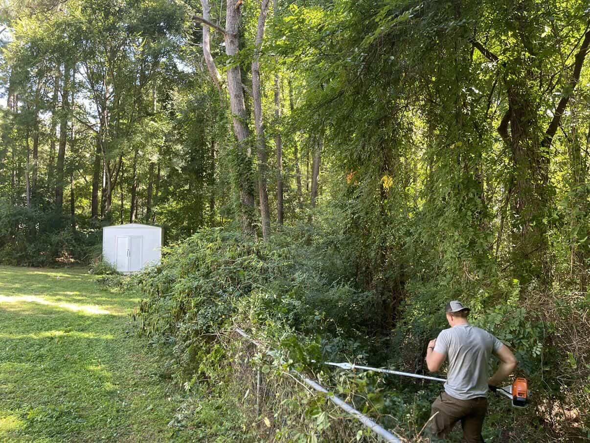 Premium Sod Installation